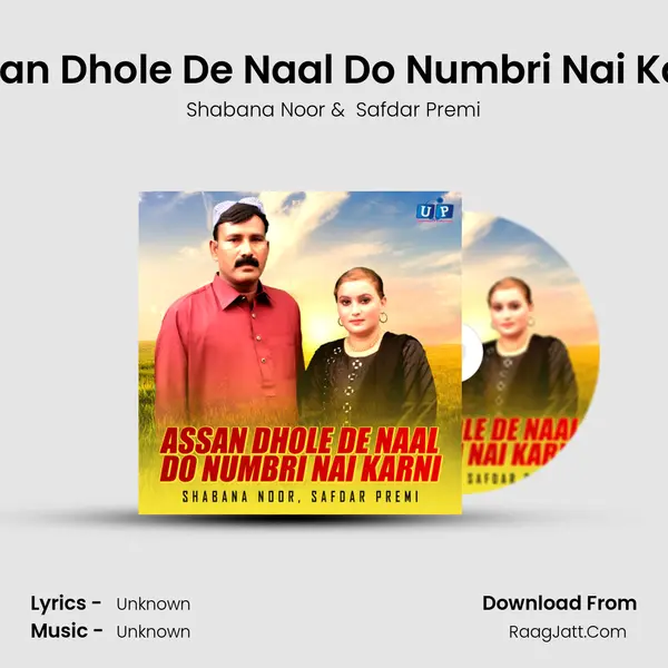 Assan Dhole De Naal Do Numbri Nai Karni mp3 song