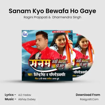 Sanam Kyo Bewafa Ho Gaye mp3 song