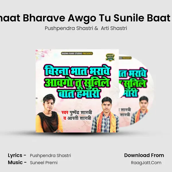 Birna Bhaat Bharave Awgo Tu Sunile Baat Hamari MP3 Song by Pushpendra Shastri Cover