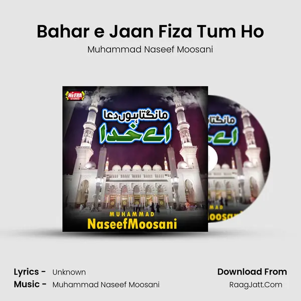 Bahar e Jaan Fiza Tum Ho mp3 song