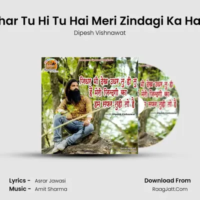 Jidhar Bhi Dekh Udhar Tu Hi Tu Hai Meri Zindagi Ka Ham Safar Tuhi to Hai MP3 Song by Dipesh Vishnawat Cover