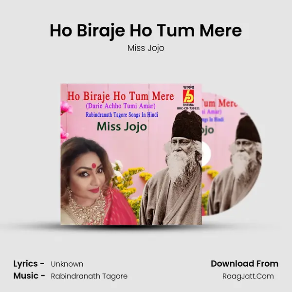 Ho Biraje Ho Tum Mere mp3 song
