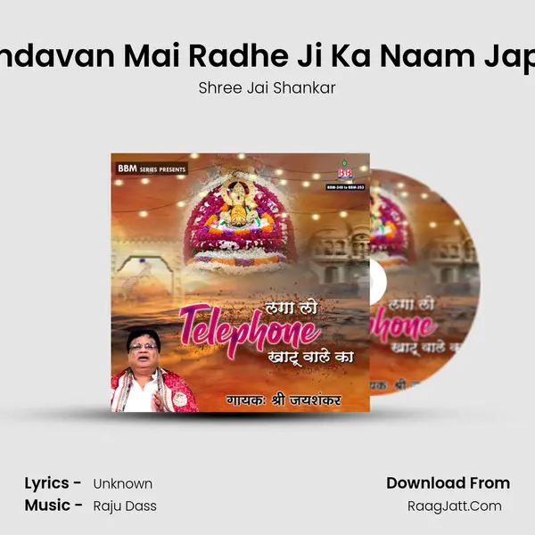 Vrindavan Mai Radhe Ji Ka Naam Japna Cover