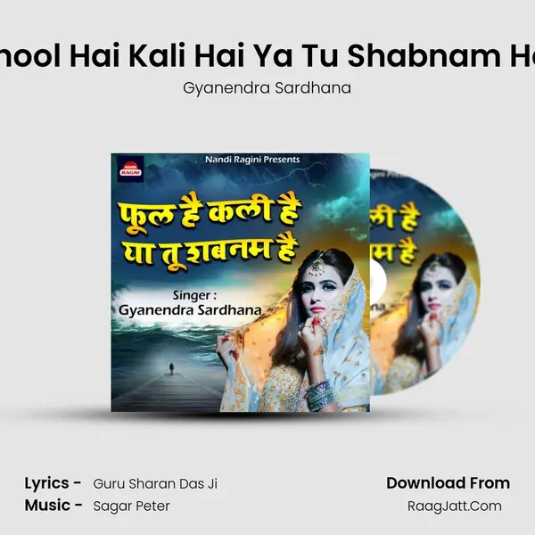 Phool Hai Kali Hai Ya Tu Shabnam Hai mp3 song