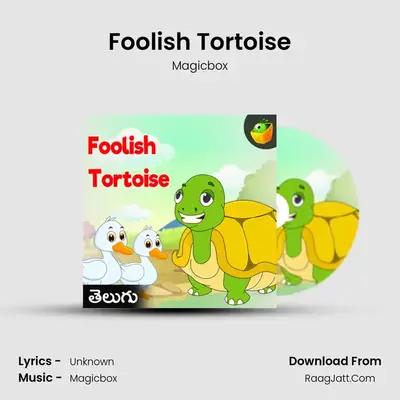 Foolish Tortoise - Magicbox