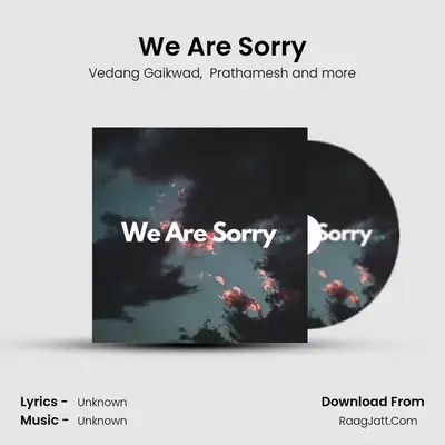We Are Sorry mp3 song