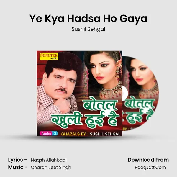 Ye Kya Hadsa Ho Gaya mp3 song