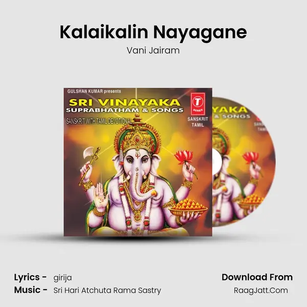 Kalaikalin Nayagane MP3 Song by Vani Jairam Cover