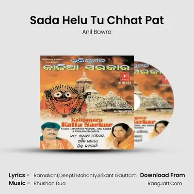 Sada Helu Tu Chhat Pat MP3 Song by Anil Bawra Cover
