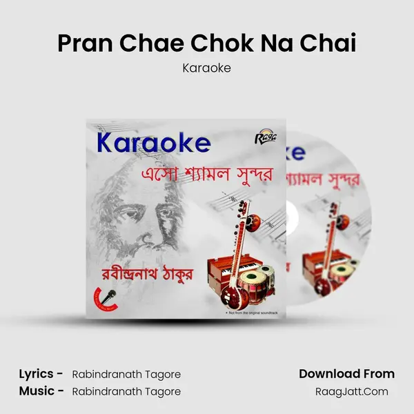 Pran Chae Chok Na Chai MP3 Song by Karaoke Cover