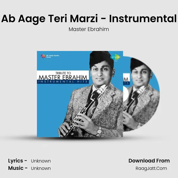 Ab Aage Teri Marzi - Instrumental MP3 Song by Master Ebrahim Cover