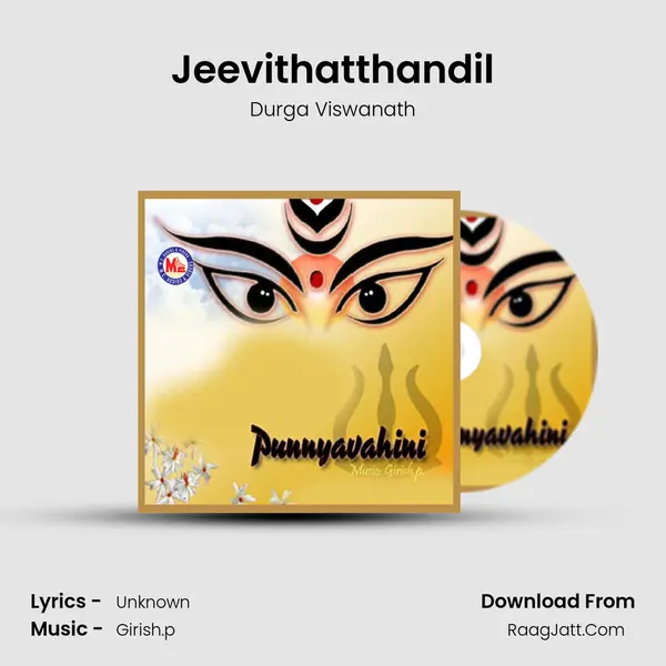 Jeevithatthandil MP3 Song by Durga Viswanath Cover