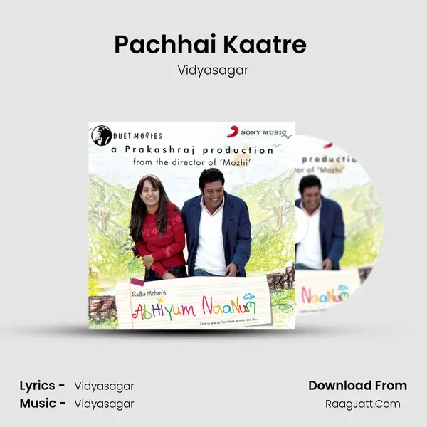 Pachhai Kaatre (Instrumental) MP3 Song by Vidyasagar Cover