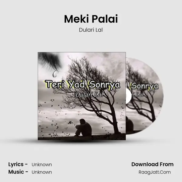 Meki Palai MP3 Song by Dulari Lal Cover
