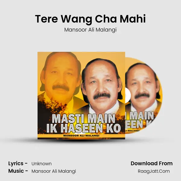 Tere Wang Cha Mahi mp3 song