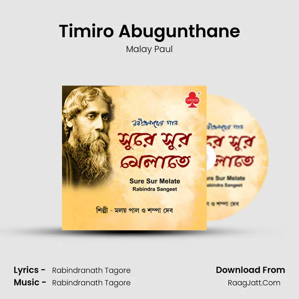 Timiro Abugunthane MP3 Song by Malay Paul Cover