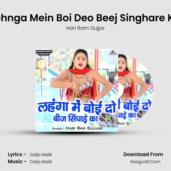 Lehnga Mein Boi Deo Beej Singhare Ka mp3 song
