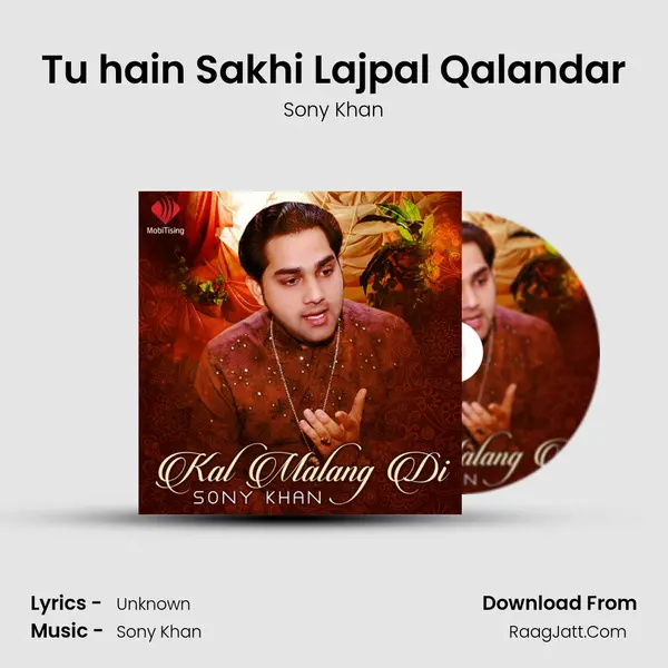 Tu hain Sakhi Lajpal Qalandar Cover