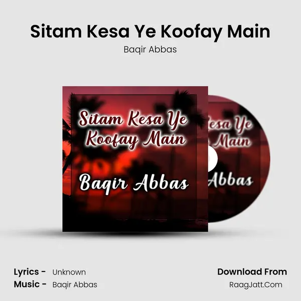 Sitam Kesa Ye Koofay Main - Baqir Abbas