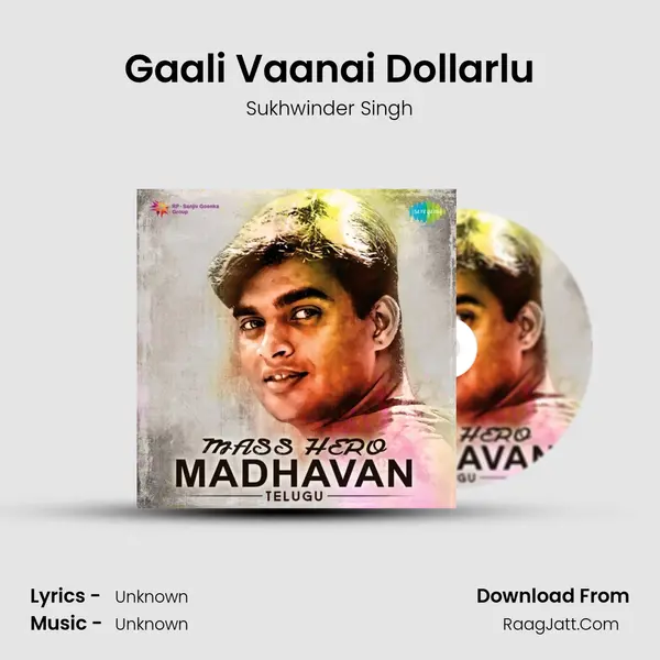 Gaali Vaanai Dollarlu Cover