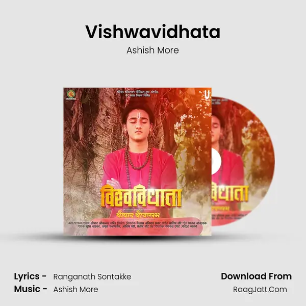 Vishwavidhata MP3 Song by Ashish More Cover