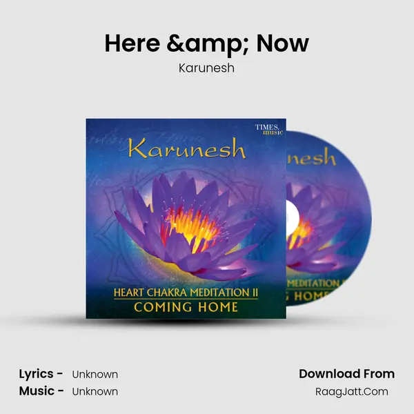 Here & Now MP3 Song by Karunesh Cover