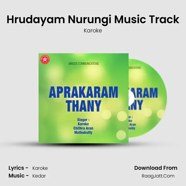 Hrudayam Nurungi Music Track MP3 Song by Karoke Cover