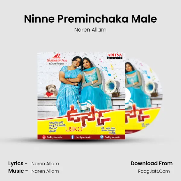 Ninne Preminchaka Male MP3 Song by Naren Allam Cover