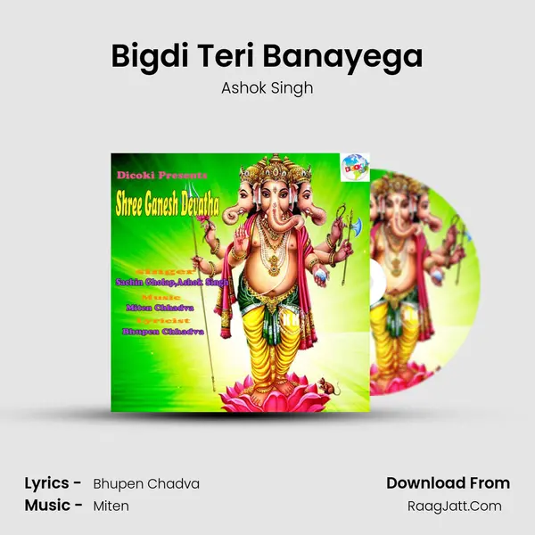 Bigdi Teri Banayega Cover