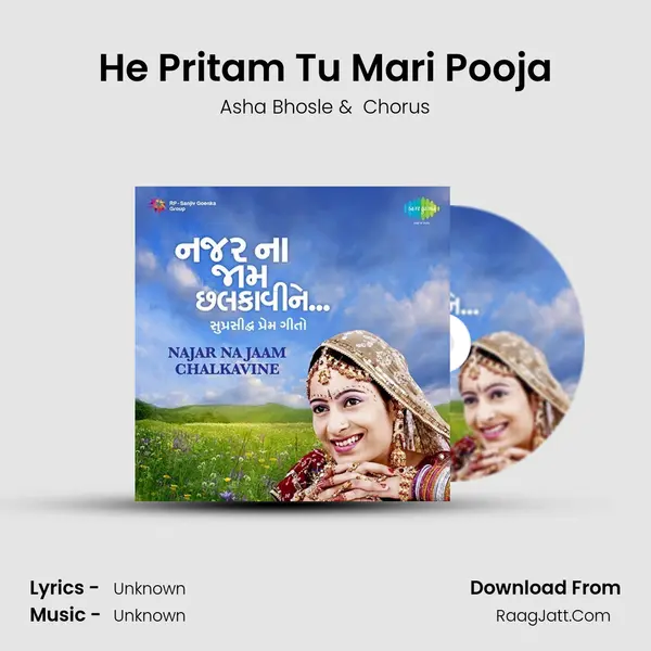 He Pritam Tu Mari Pooja Cover