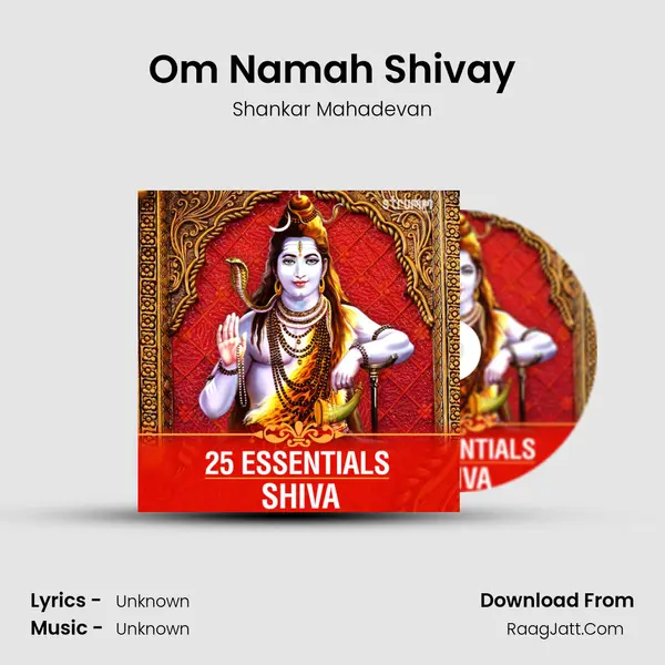 Om Namah Shivay Cover