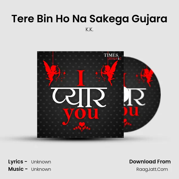 Tere Bin Ho Na Sakega Gujara Cover
