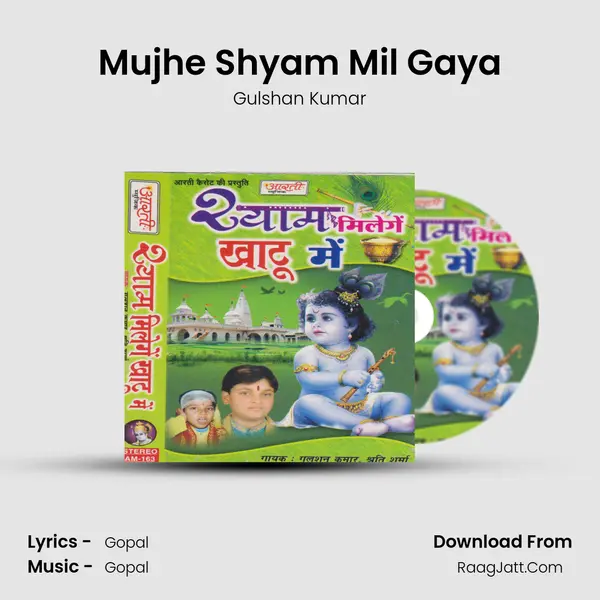 Mujhe Shyam Mil Gaya MP3 Song by Gulshan Kumar Cover