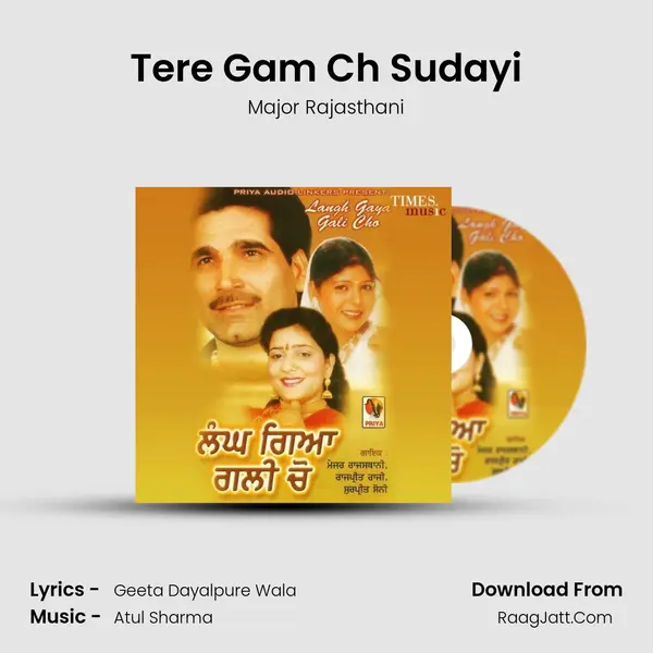 Tere Gam Ch Sudayi Cover