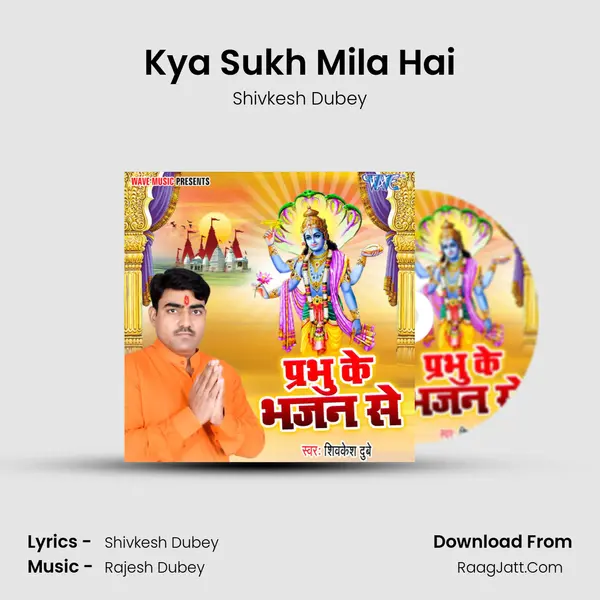 Kya Sukh Mila Hai mp3 song
