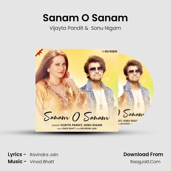 Sanam O Sanam MP3 Song by Vijayta Pandit Cover