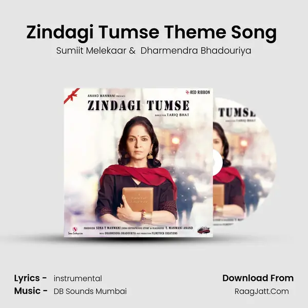 Zindagi Tumse Theme Song (Instrumental) MP3 Song by Sumiit Melekaar Cover