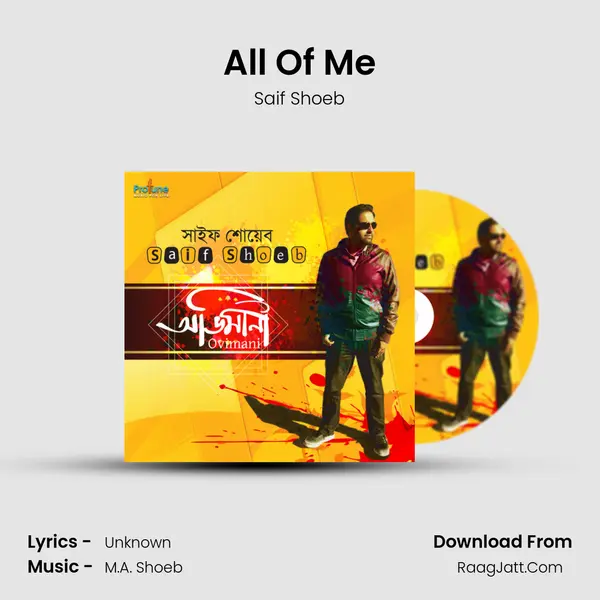 All Of Me MP3 Song by Saif Shoeb Cover