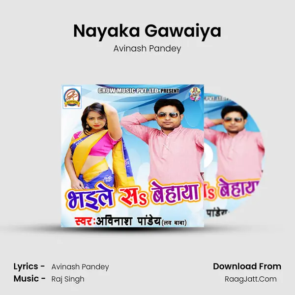 Nayaka Gawaiya MP3 Song by Avinash Pandey Cover