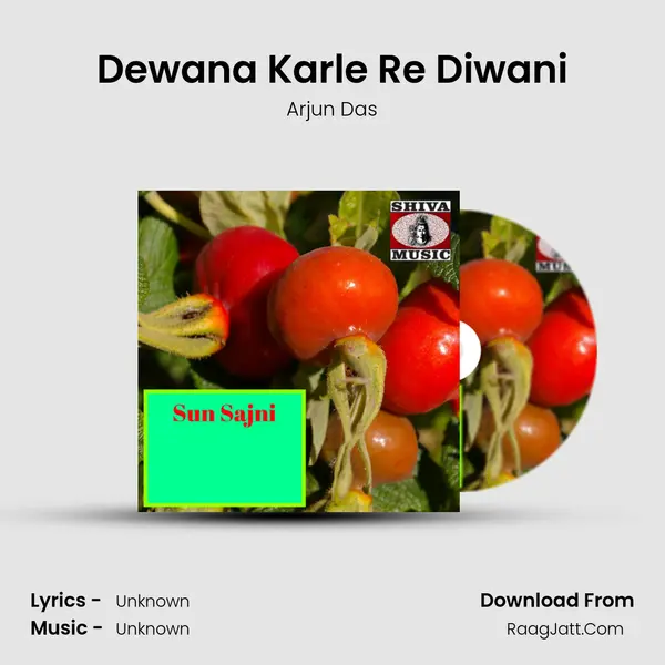 Dewana Karle Re Diwani MP3 Song by Arjun Das Cover