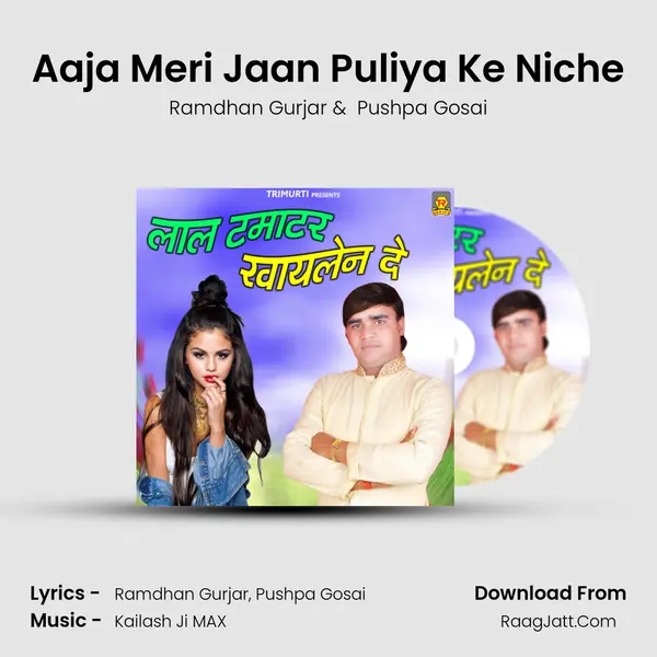 Aaja Meri Jaan Puliya Ke Niche MP3 Song by Ramdhan Gurjar Cover
