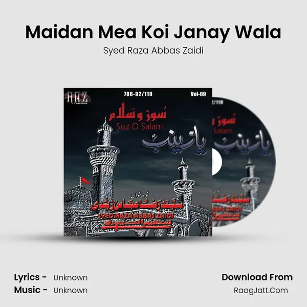 Maidan Mea Koi Janay Wala MP3 Song by Syed Raza Abbas Zaidi Cover
