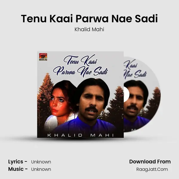 Tenu Kaai Parwa Nae Sadi mp3 song