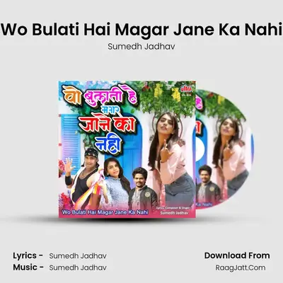 Wo Bulati Hai Magar Jane Ka Nahi - Sumedh Jadhav