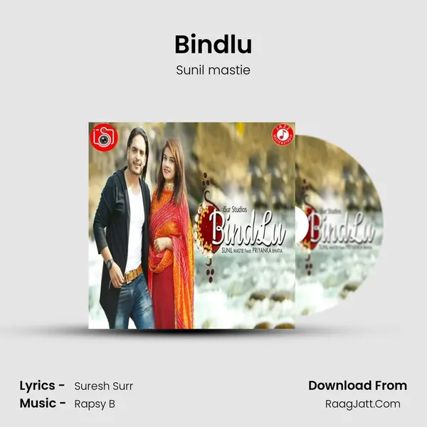 Bindlu MP3 Song by Sunil mastie Cover