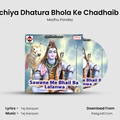 Bachiya Dhatura Bhola Ke Chadhaib Ho MP3 Song by Madhu Pandey Cover