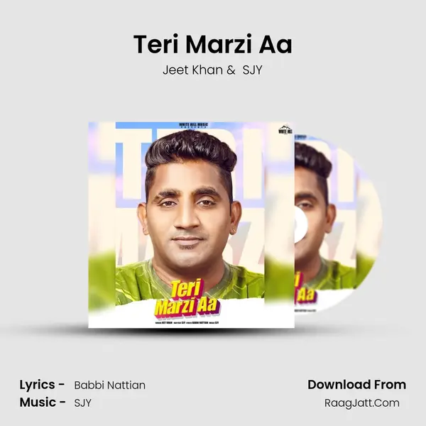 Teri Marzi Aa mp3 song