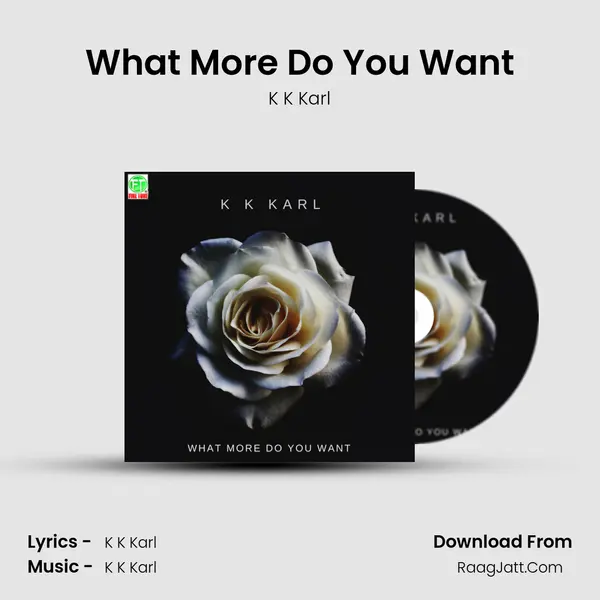 What More Do You Want MP3 Song by K K Karl Cover