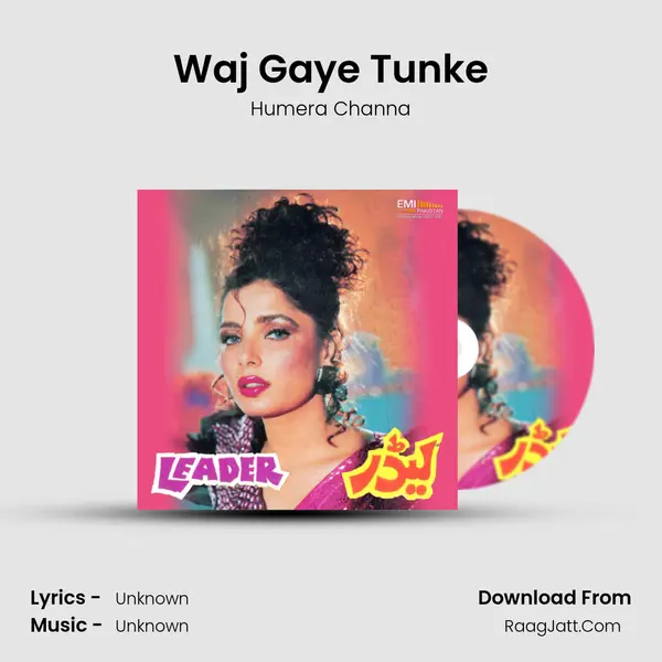 Waj Gaye Tunke Cover