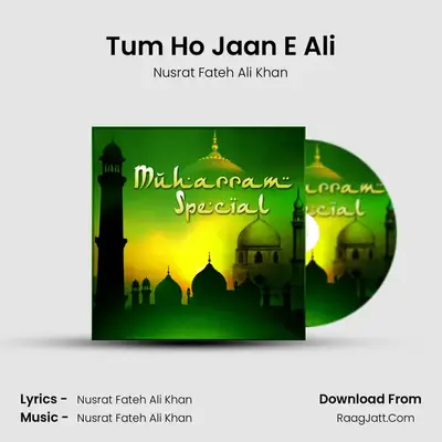Tum Ho Jaan E Ali Cover